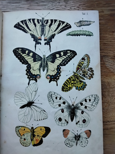 Rare livre ancien - rare, les