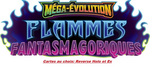 Choix cartes pokémon - cartes,