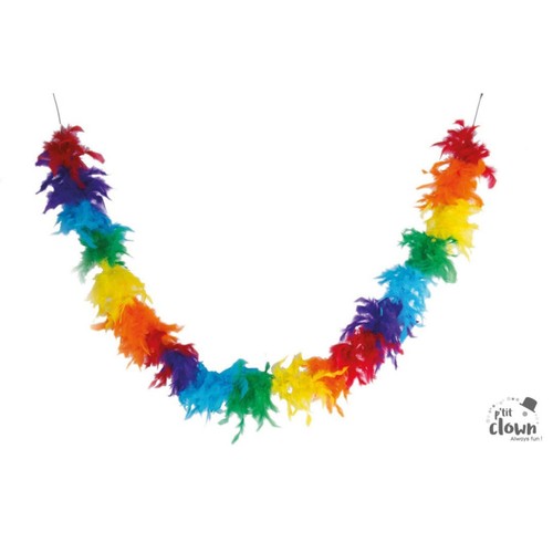 Boa plumes multicouleurs - -,