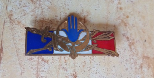 Insigne afn forces - -,