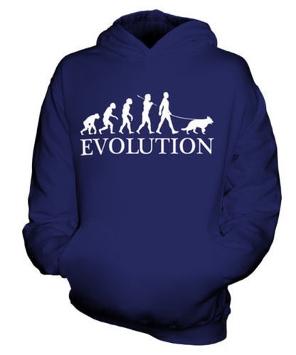 Chien loup évolution homme - chien-loup,