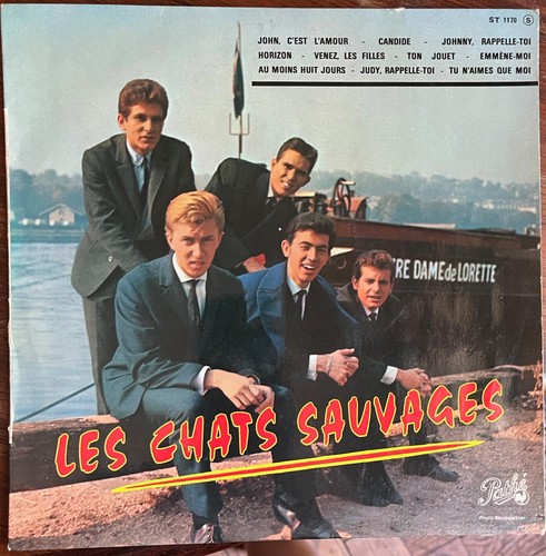 Les chats sauvages - chats, avec
