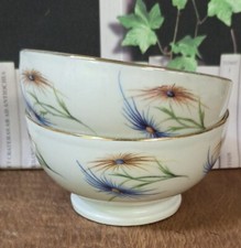 2 Bols Anciens En Porcelaine Pâte De Limoges Décor Floral