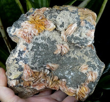 XXL Cerussite & Baryte & Galène Mibladen 16x13cm Maroc cérusite barytine reiki