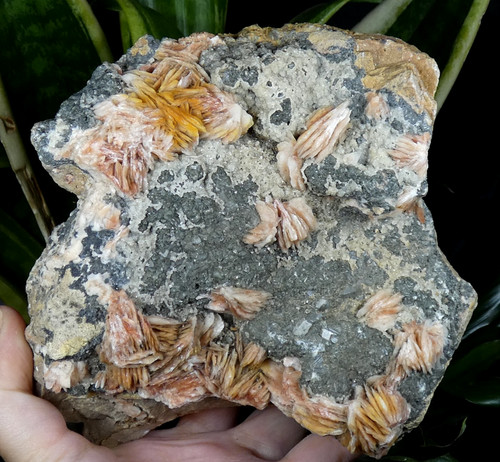 Xxl cerussite baryte - xxl, &