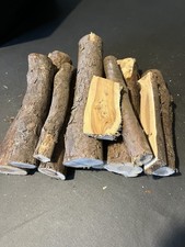 Lot bois d’IF Tournage