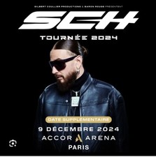Place de concert Sch LDLC Aren