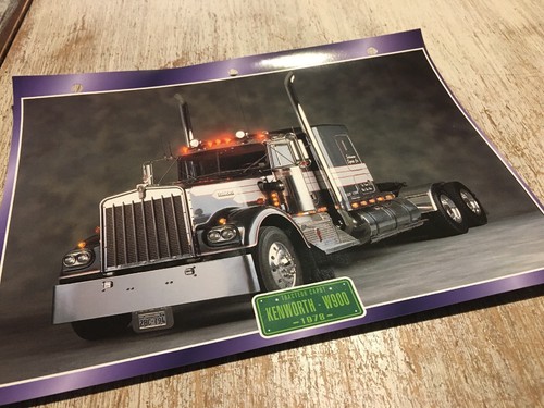 019 kenworth w900 - w900, w
