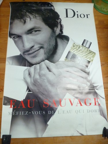 Affiche parfum dior - affiche,