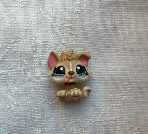Authentic lps 1013 husky - authentic,