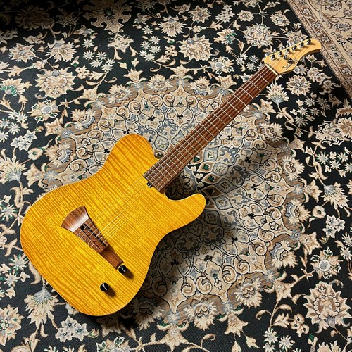 Sadowsky nyc electric guts cmb - electric,