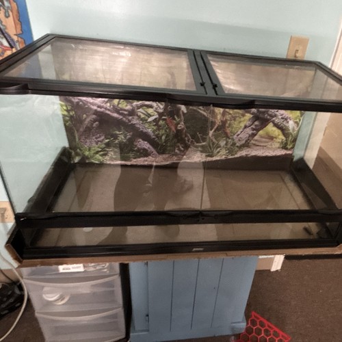 Glass reptile terrarium - glass,