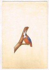 Peinture D'Oiseau Fait Main
