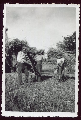 Vezels roussy cantal - cantal, "