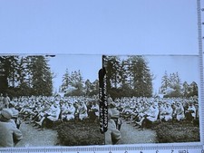 PLAQUE DE VERRE STEREOSCOPIQUE WW1/1914-1918/1 GUERRE MONDIAL PLANOX 6X13cm "B2"