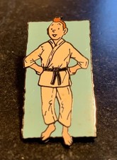 PIN'S TINTIN JUDO N° 430  DU TLL