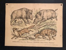 Image originale Pellerin