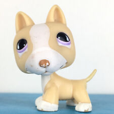 Authentic Littlest Pet Shop #860 Pit Bull / Terrier Dog / Original Hasbro LPS