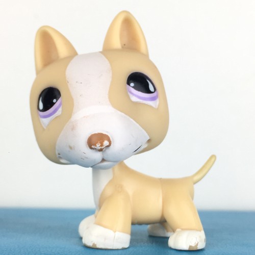 Authentic littlest pet shop - authentic,