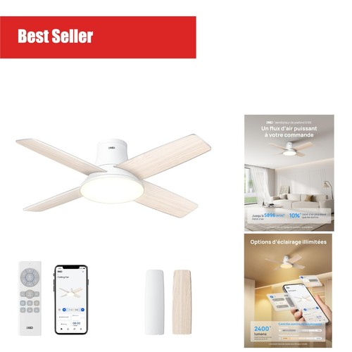 Dreo ventilateur plafond - ventilateur,