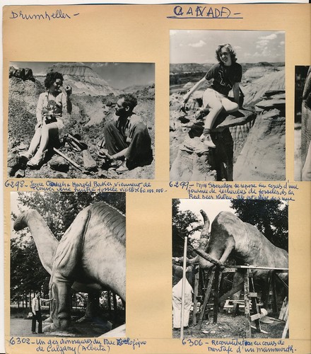 Drumheller 1960 5 photos - c.,