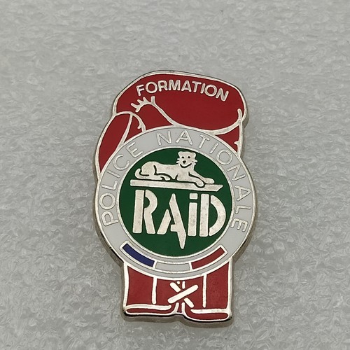 Pin's-RAID-BOXE-Vert-Police