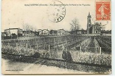 LOUPIAC - Vue g�n�rale - L'Eglise St-Pierre et les Vignobles - ST141 - 211