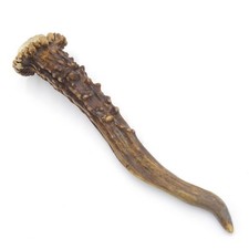 Bois de Cerf Longueur 15 CM