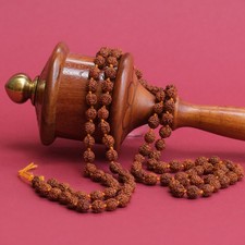 Mala Rudraksha Graines 7.5Mm