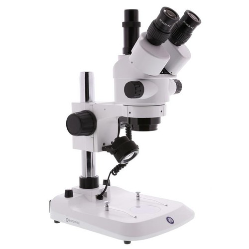 1703 euromex stereoblue - euromex,