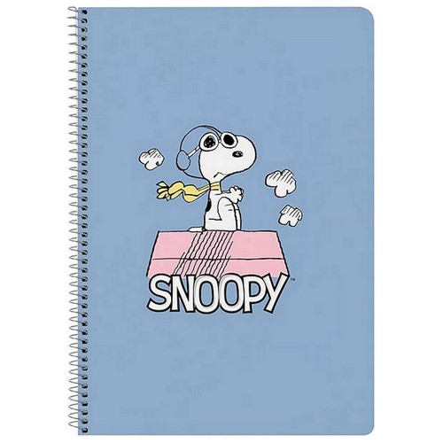 Carnet notes spirales - carnet, à