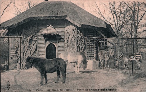 Cpa paris au jardin - cpa,
