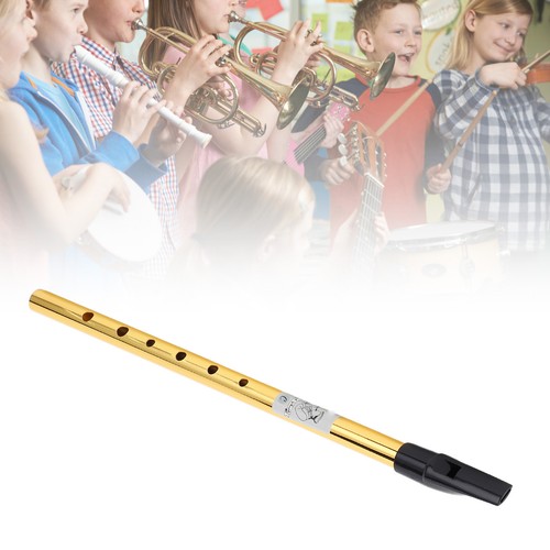 Tin whistle irlandais 6 - de,