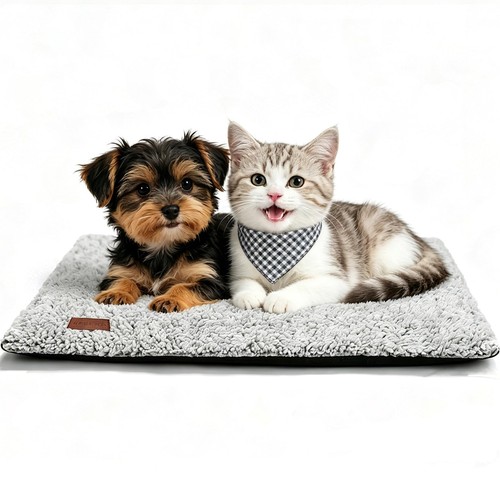 Tapis chauffant pour chat - chauffant,
