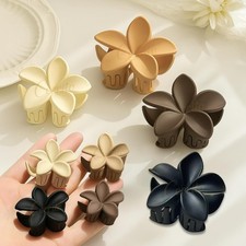 Pinces à cheveux Cerrito