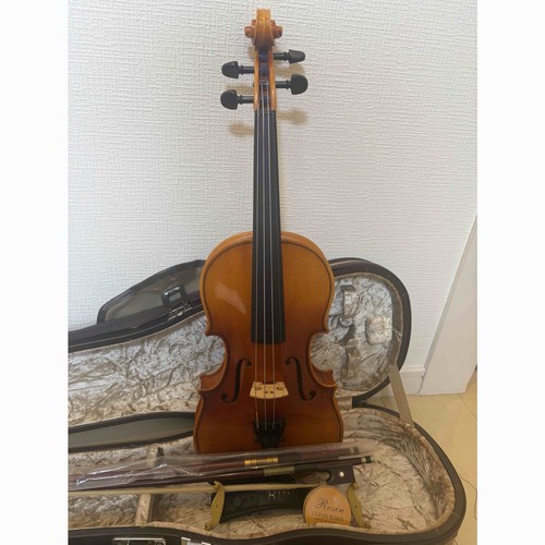 Violin karl hofner 2 - karl,
