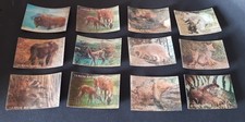 IMAGES LA ROCHE AUX FEES  - lot de 33 -- animaux sauvages et leurs petits