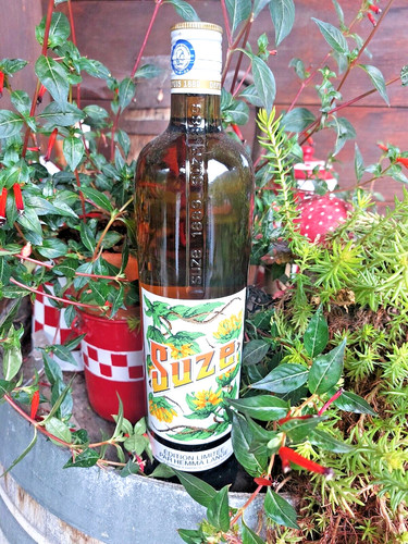 Bouteille suze gentiane - suze,