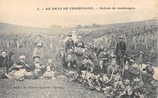 CPA 51 AU PAYS DU CHAMPAGNE / SCENES DE VENDANGES
