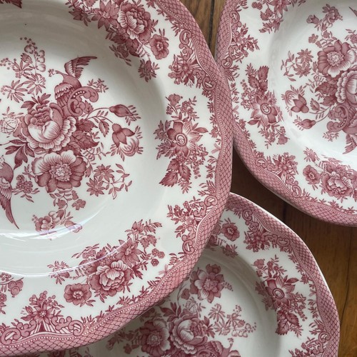 Lot assiettes à - lot,