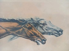 Grande Lithographie Chevaux