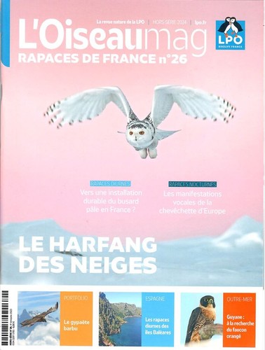 Oiseau mag rapaces de - mag,