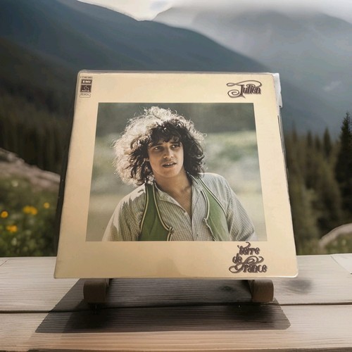 Disque tours vinyle julien - 33,