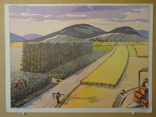 Affiche scolaire rossignol la - affiche,