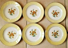  6 ASSIETTES PLATES DIGOIN