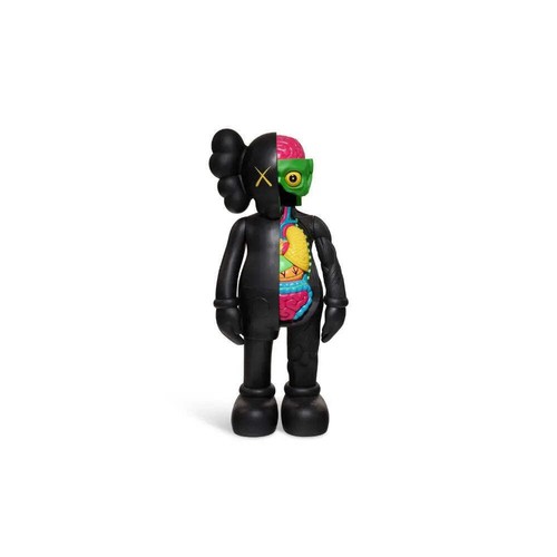 Kaws dissected companion - kaws,,