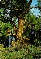 CPM Liege depouille de son