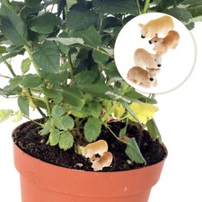  Lot de 12 mini vaches en