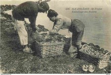 Carte Postale - Reproduction