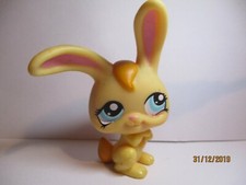 PETSHOP LAPIN DE GARENNE